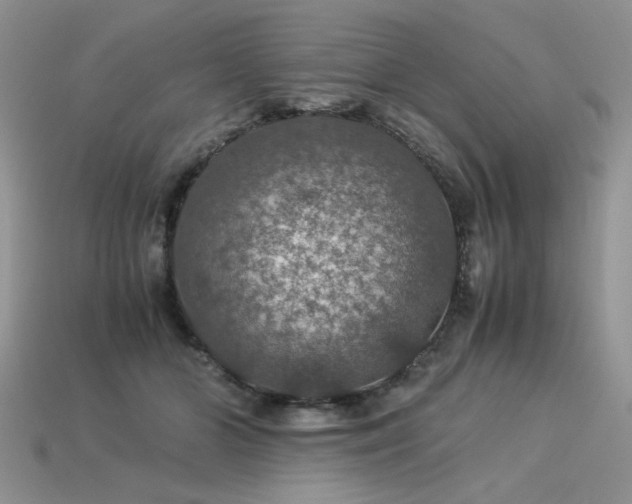 X0000113600510200909181354