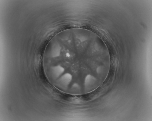 X0000113600511200909181354