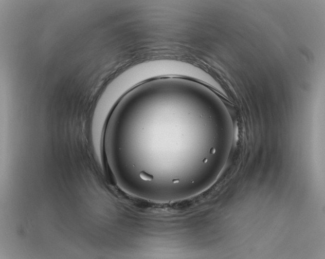 X0000113600512200909181354