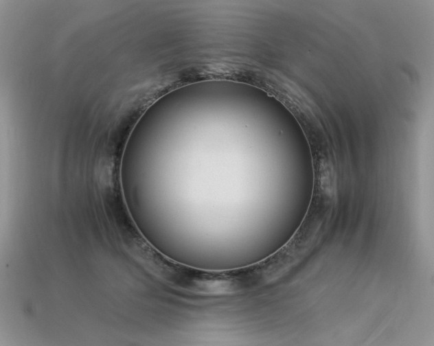 X0000113600514200909181354