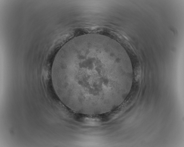 X0000113600515200909181354