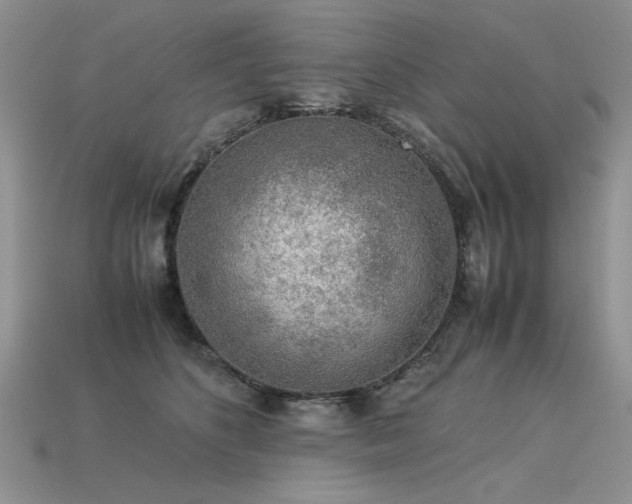 X0000113600516200909181354