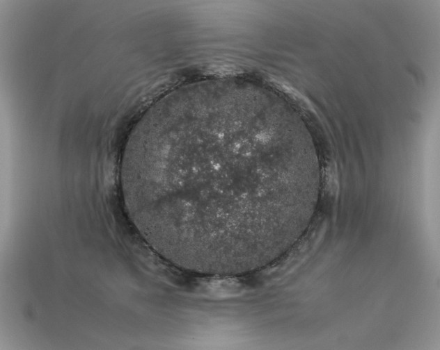 X0000113600517200909181354