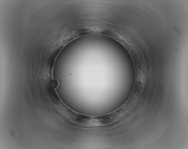 X0000113600518200909181354