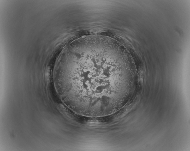 X0000113600519200909181354