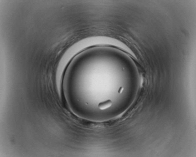 X0000113600520200909181354