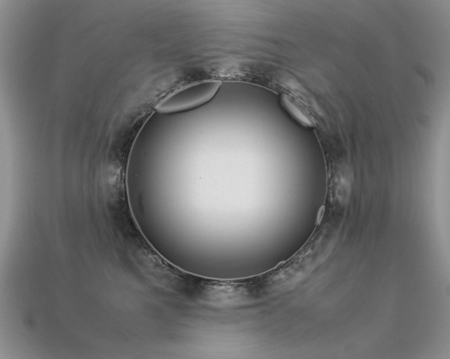 X0000113600521200909181354