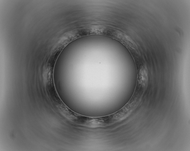 X0000113600522200909181354