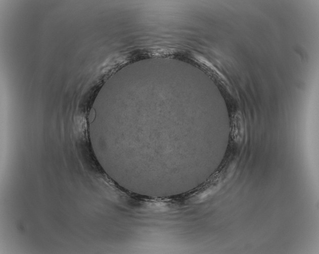 X0000113600523200909181354