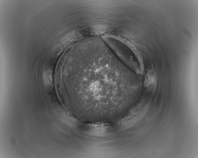 X0000113600524200909181354