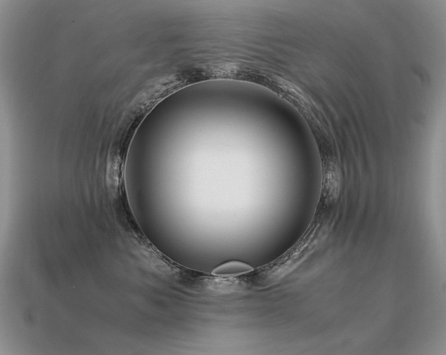 X0000113600525200909181354