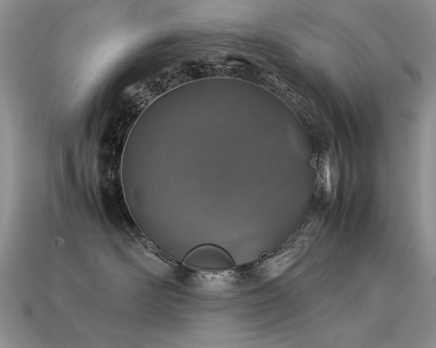 X0000113600526200909181354