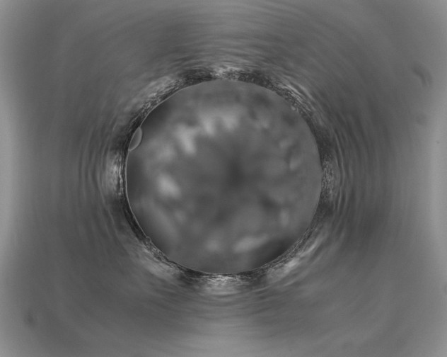 X0000113600527200909181354