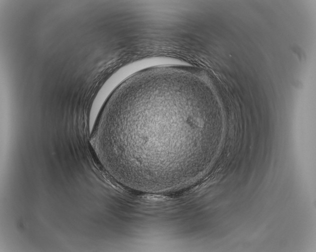 X0000113600528200909181354