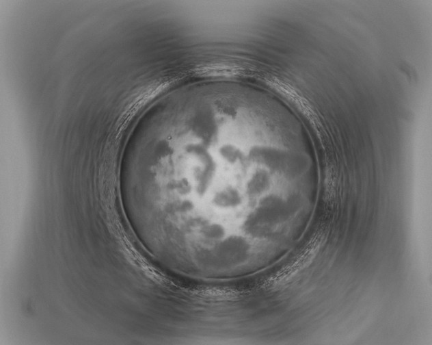 X0000113600529200909181353