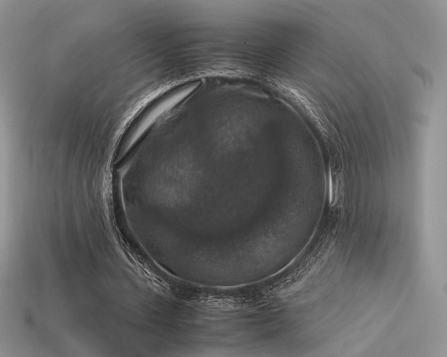 X0000113600531200909181353