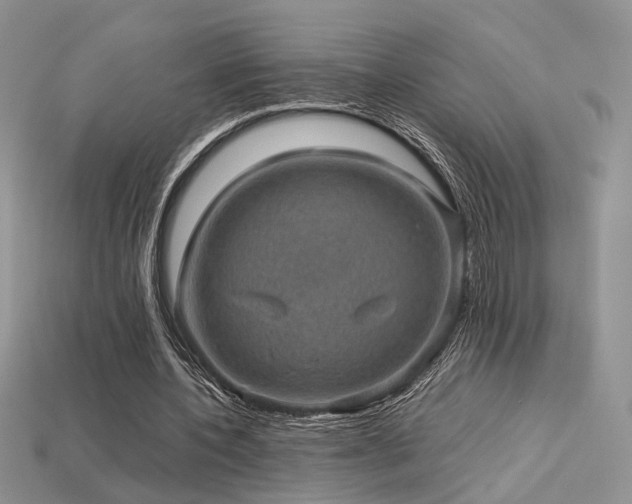 X0000113600532200909181353