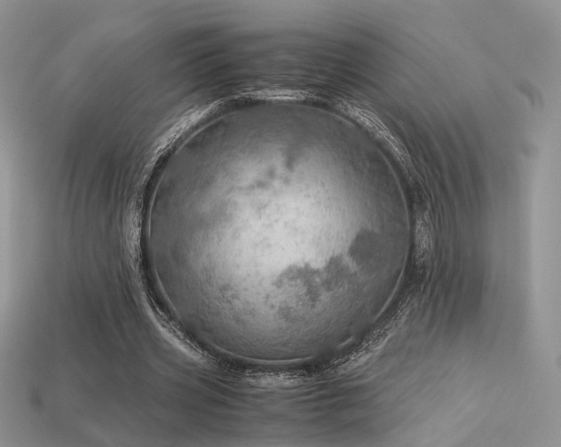 X0000113600533200909181353