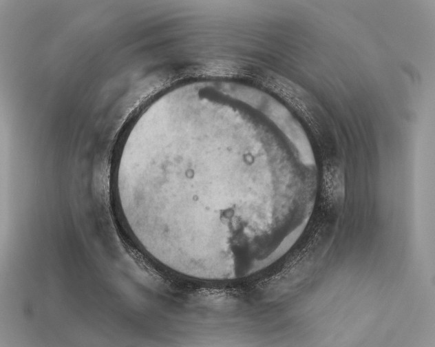 X0000113600534200909181353