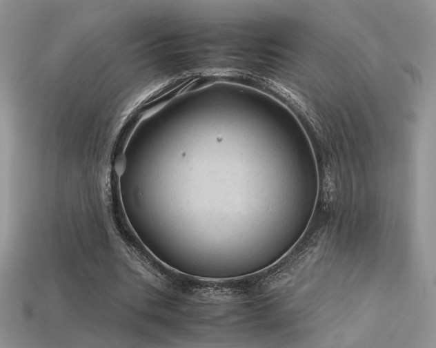 X0000113600535200909181353