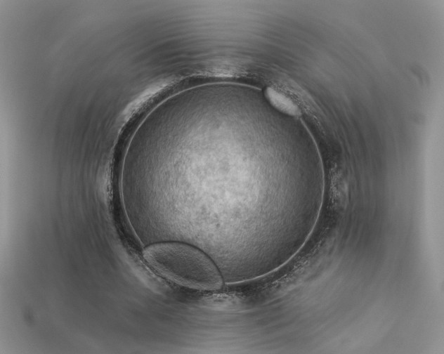 X0000113600536200909181354