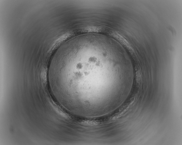 X0000113600537200909181354