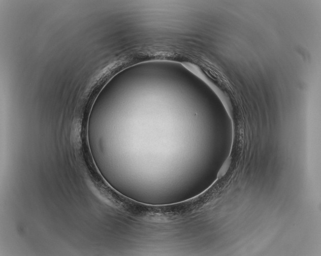 X0000113600538200909181354