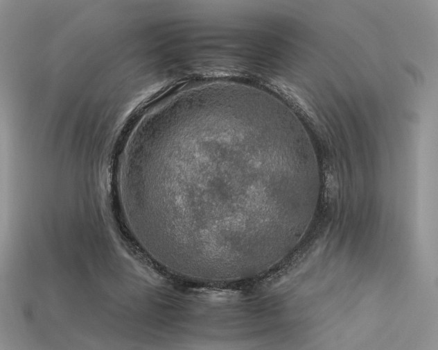 X0000113600539200909181354