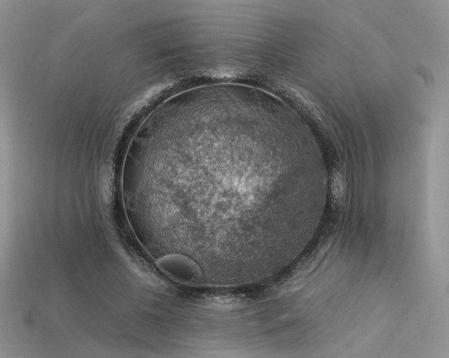 X0000113600540200909181354