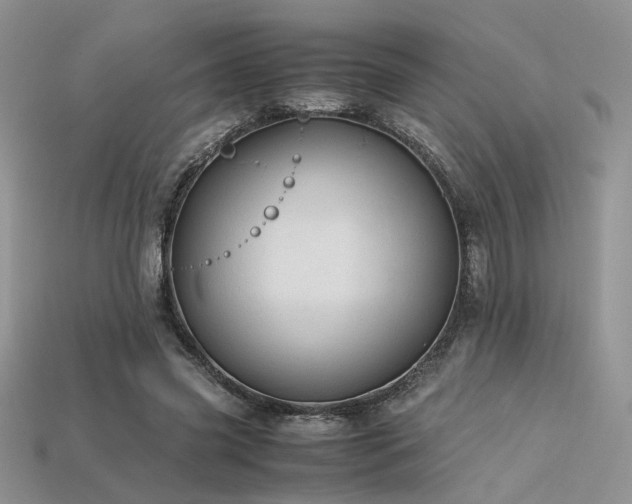 X0000113600541200909181354