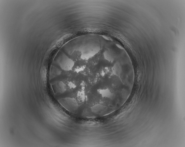 X0000113600542200909181354