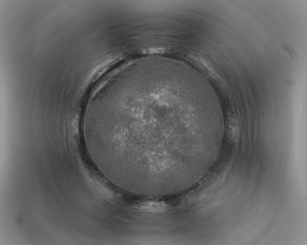 X0000113600543200909181354