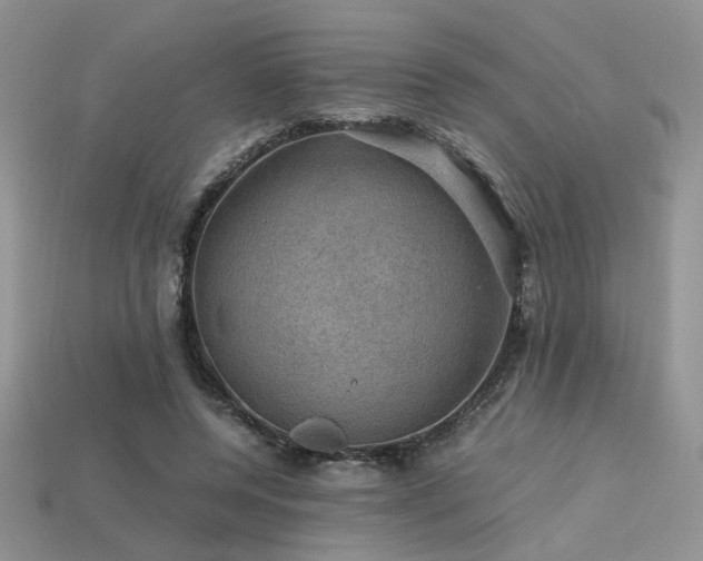 X0000113600544200909181354