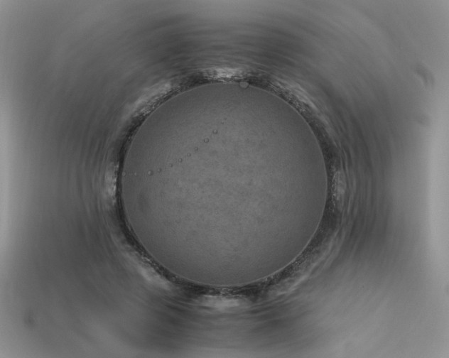 X0000113600545200909181354