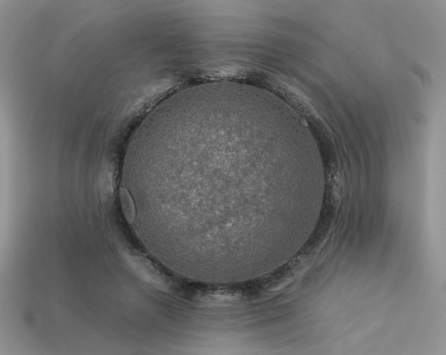 X0000113600546200909181354