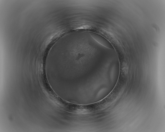 X0000113600547200909181354