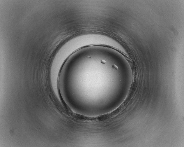 X0000113600548200909181354