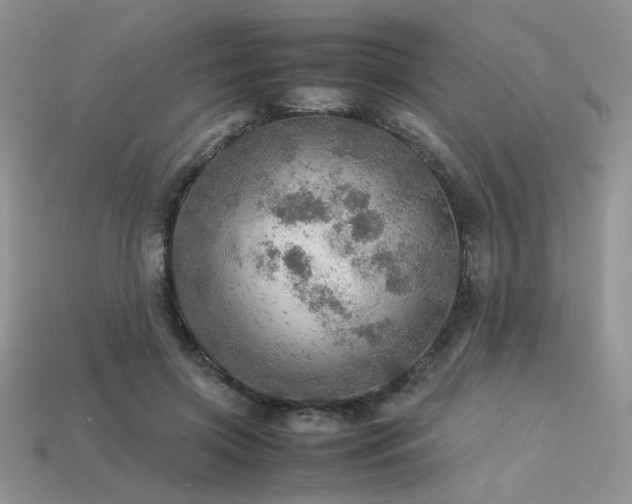 X0000113600549200909181354