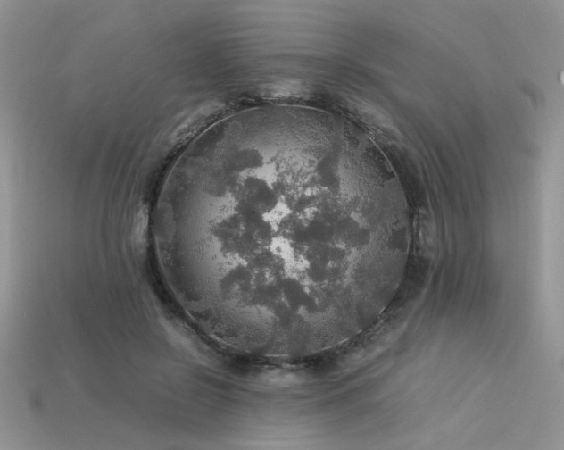 X0000113600550200909181354