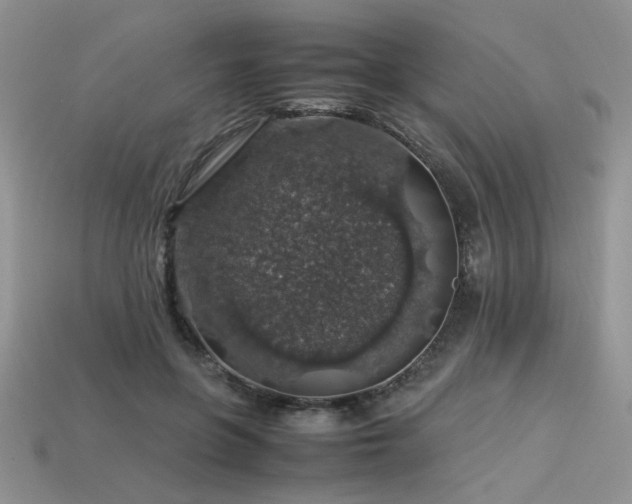 X0000113600551200909181354