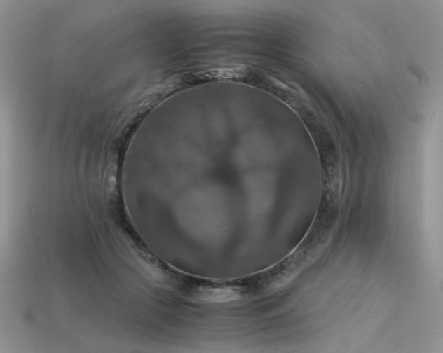 X0000113600553200909181354