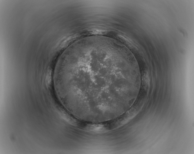 X0000113600554200909181354