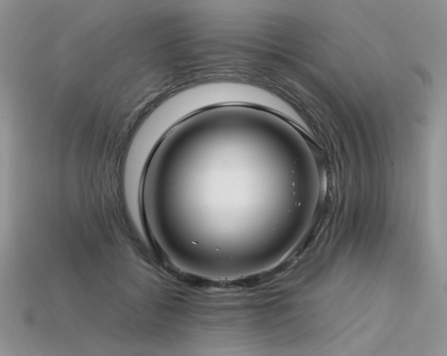 X0000113600556200909181354