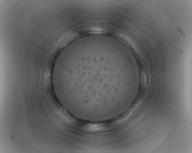 X0000113600557200909181354