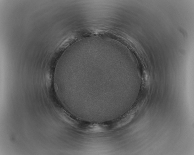 X0000113600558200909181354