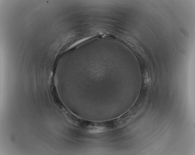 X0000113600559200909181354