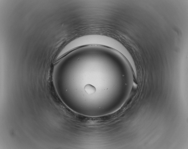 X0000113600560200909181354