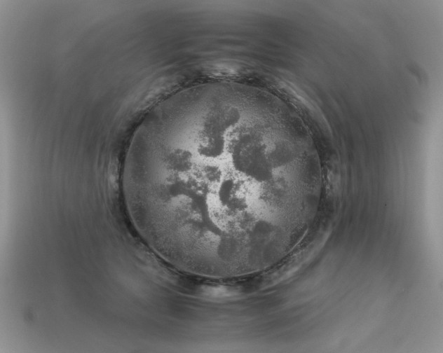 X0000113600561200909181354