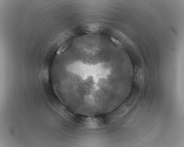 X0000113600562200909181354