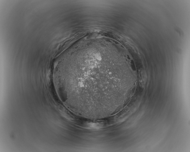 X0000113600563200909181354